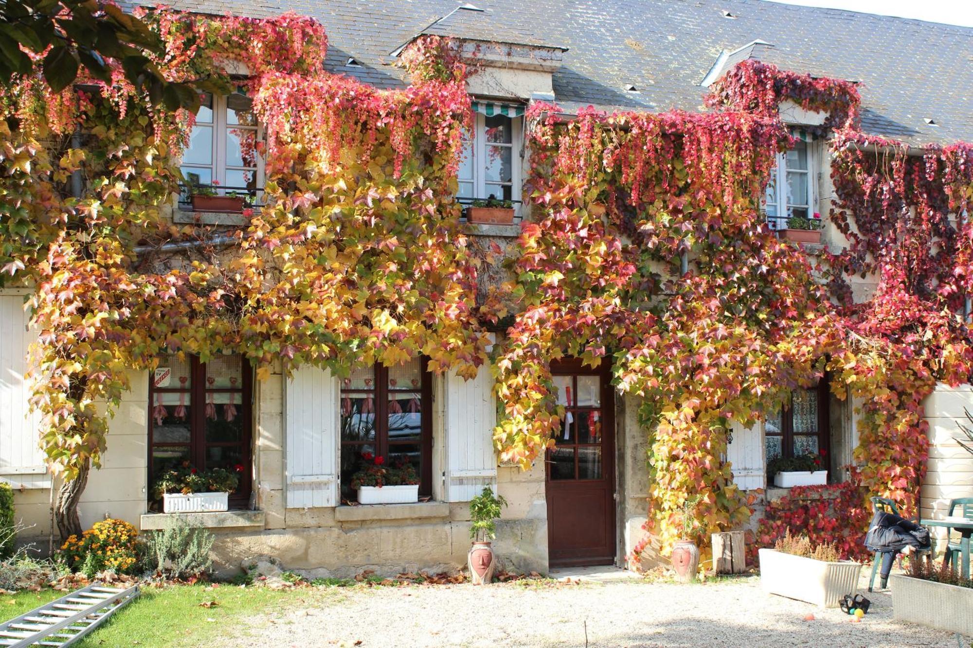 Bed and Breakfast Ma Gentilhommiere Croutoy Exterior foto